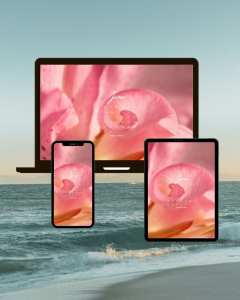 Freebie Friday: June 2026 Wallpapers for a Fresh Start to Summer